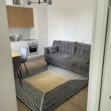 Apartament Stylish 5 Min From Clinics Kowno