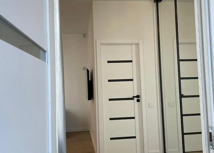 Stylish 5 Min From Clinics Kaunas